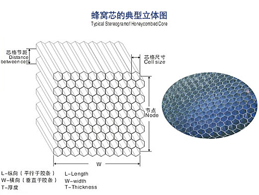 蜂窝芯的典型立体图